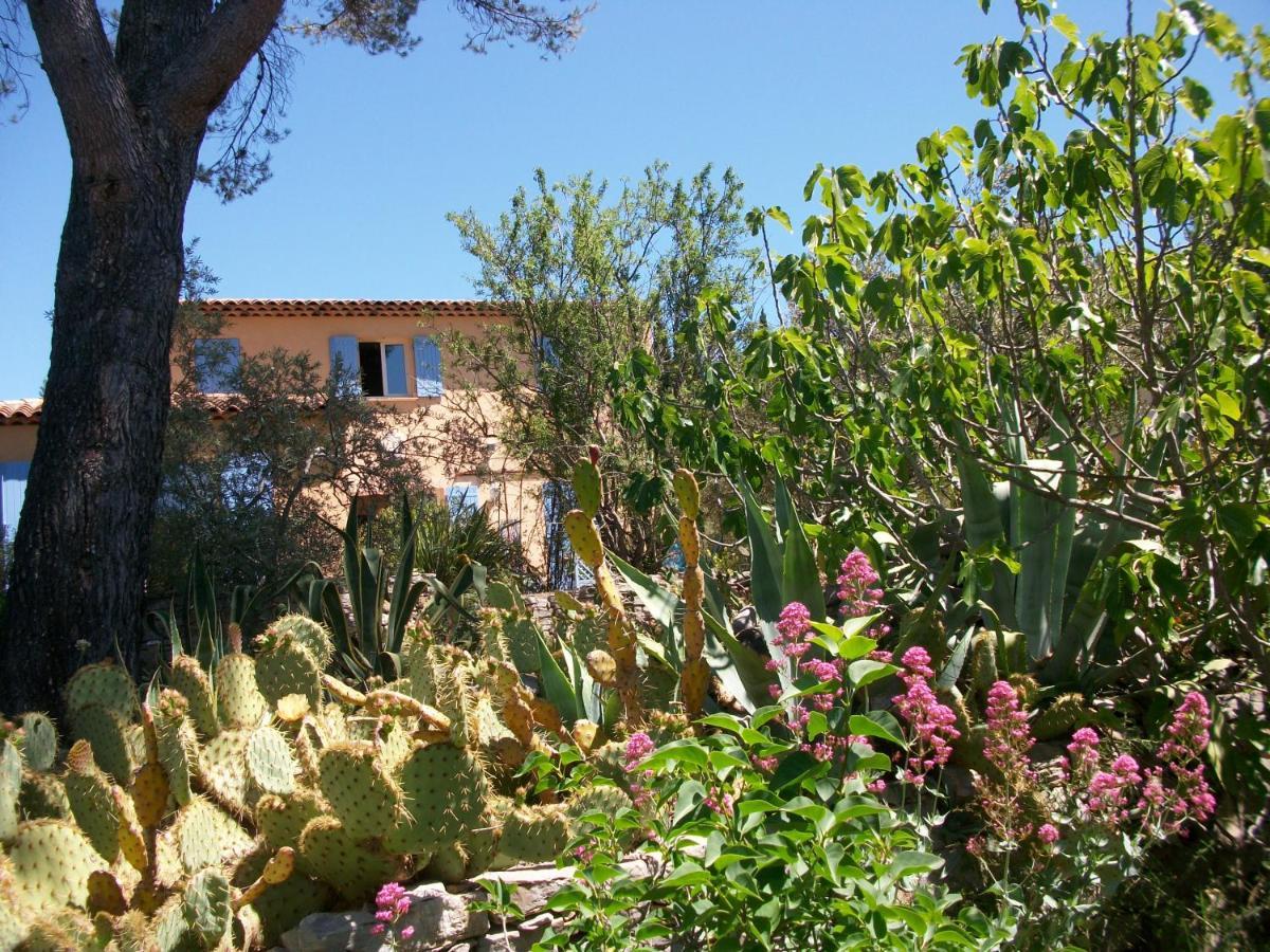 Les Chardons Bleus Bed & Breakfast Lorgues Eksteriør bilde