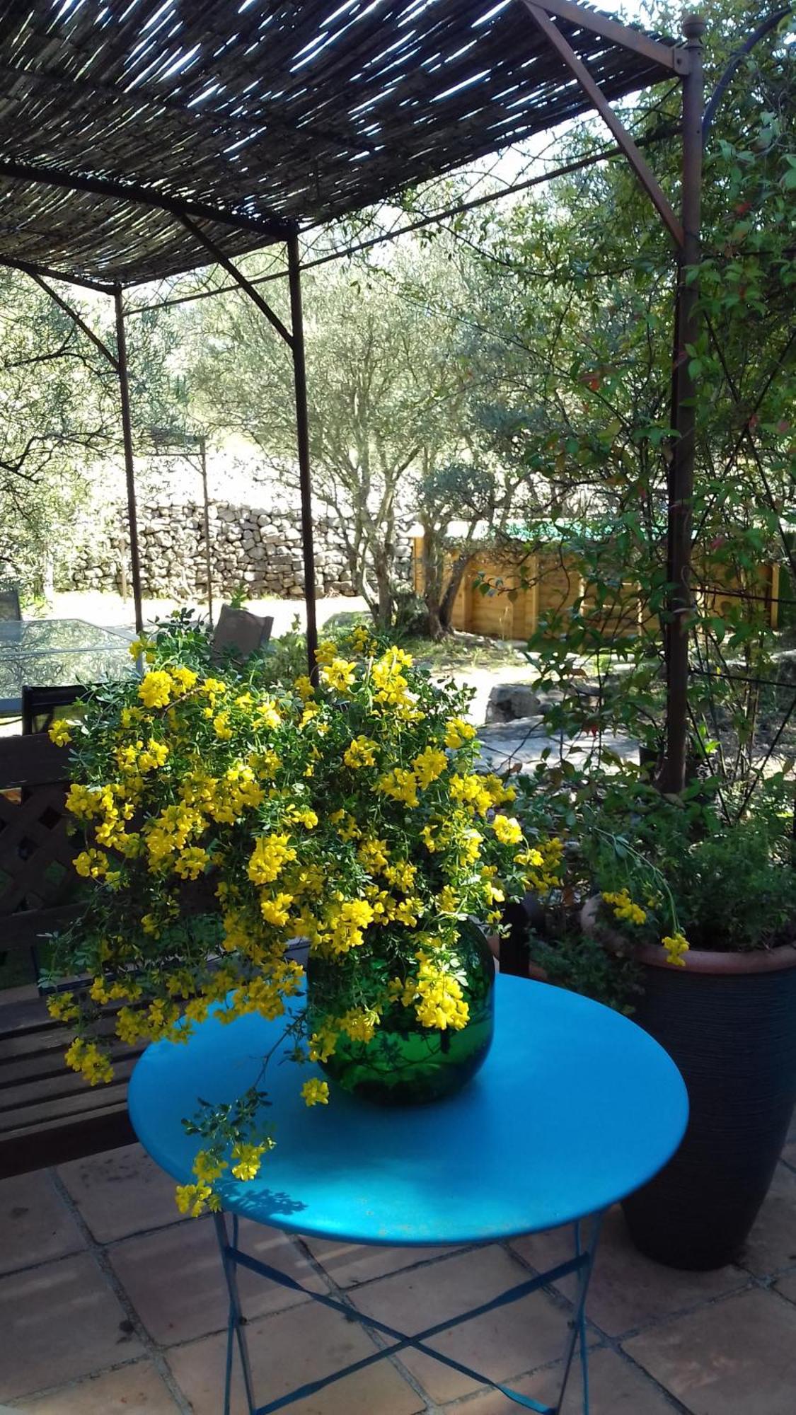 Les Chardons Bleus Bed & Breakfast Lorgues Eksteriør bilde